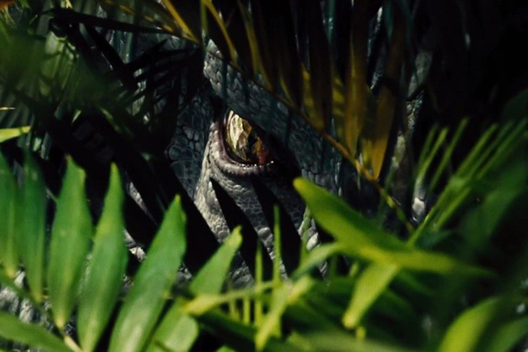 Click on the image to see the trailer